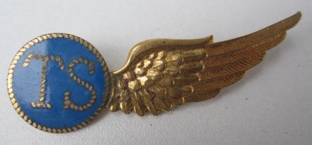 WW2 Air Crew Wing Royal Dutch Navy Radio/Gunner 