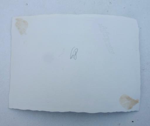 Photograph Daimond Oakleaf Recipient Herman Graf