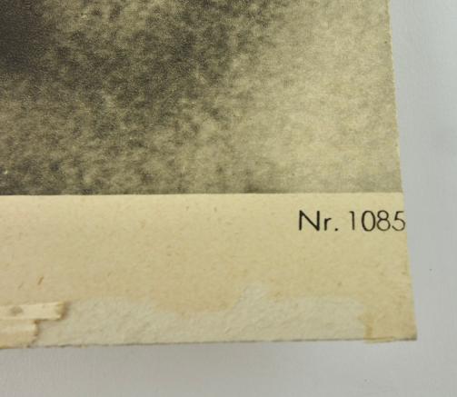 Official State Portrait Photograph Heinrich Himmler