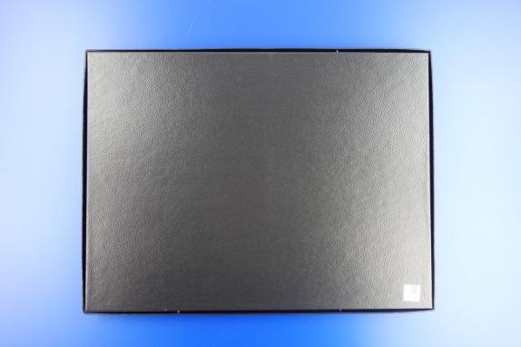 PRE-ORDER Full Box of Riker 160 Chipboard Display Case