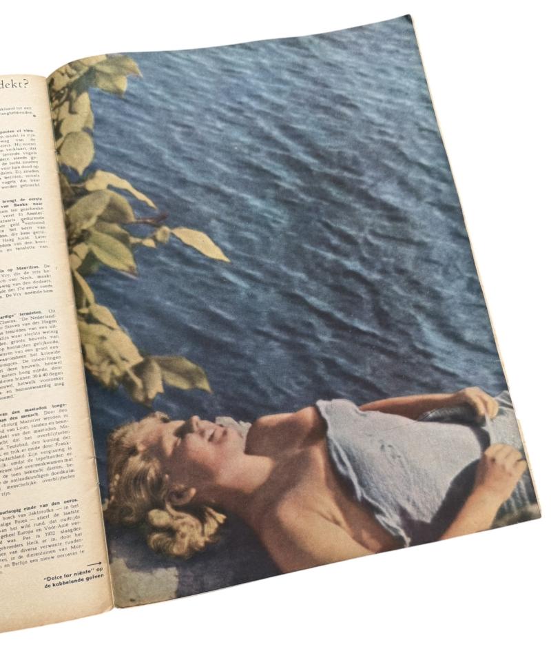 Signal Magazine (Dutch Language)