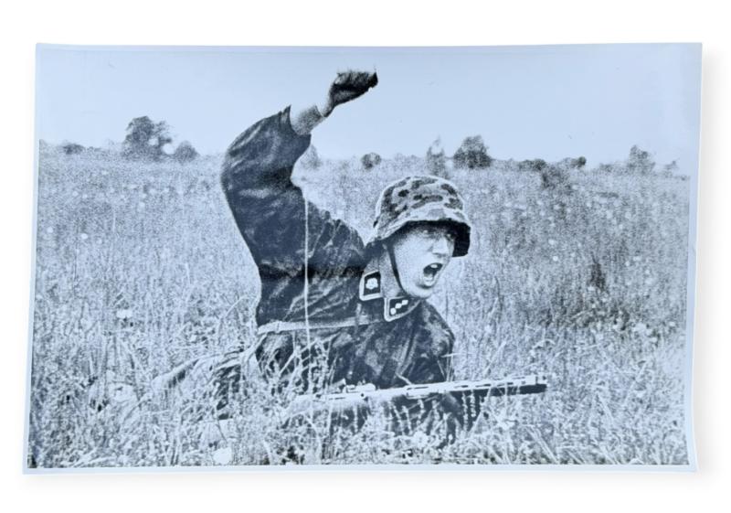Published Photograph WaffenSS Officers with MP