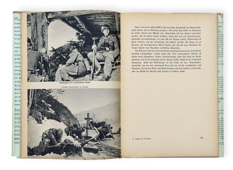 Kampf um Norwegen Book